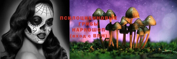 молекула духа Алексин