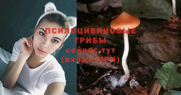 героин Алзамай