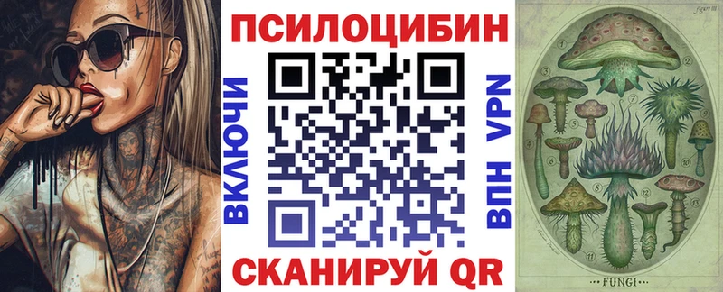 Псилоцибиновые грибы мицелий Берёзовский